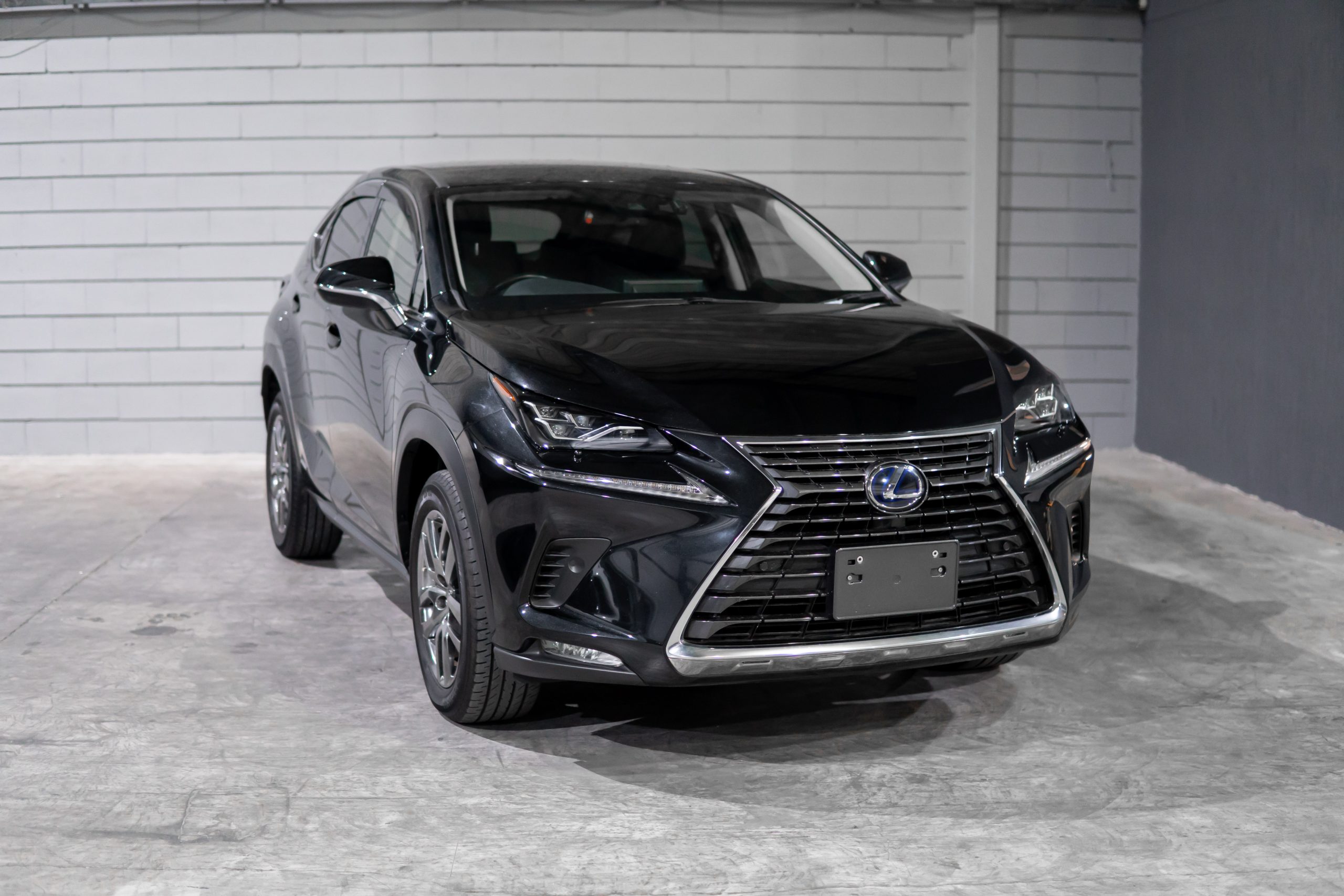 Lexus NX300 Long