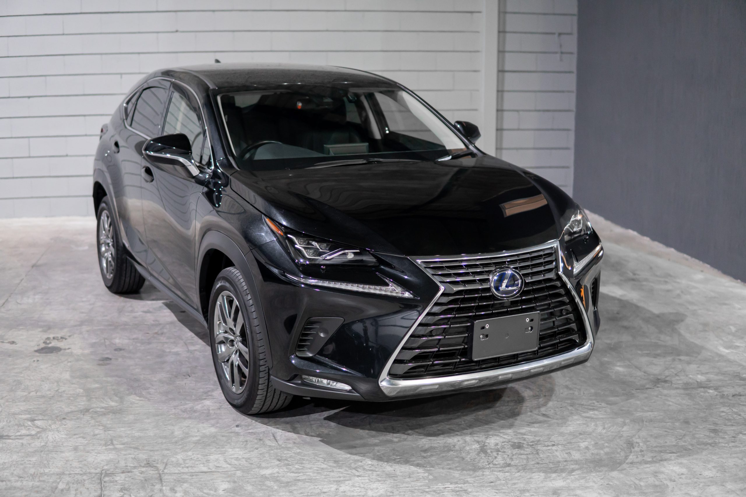 Lexus NX300 Long