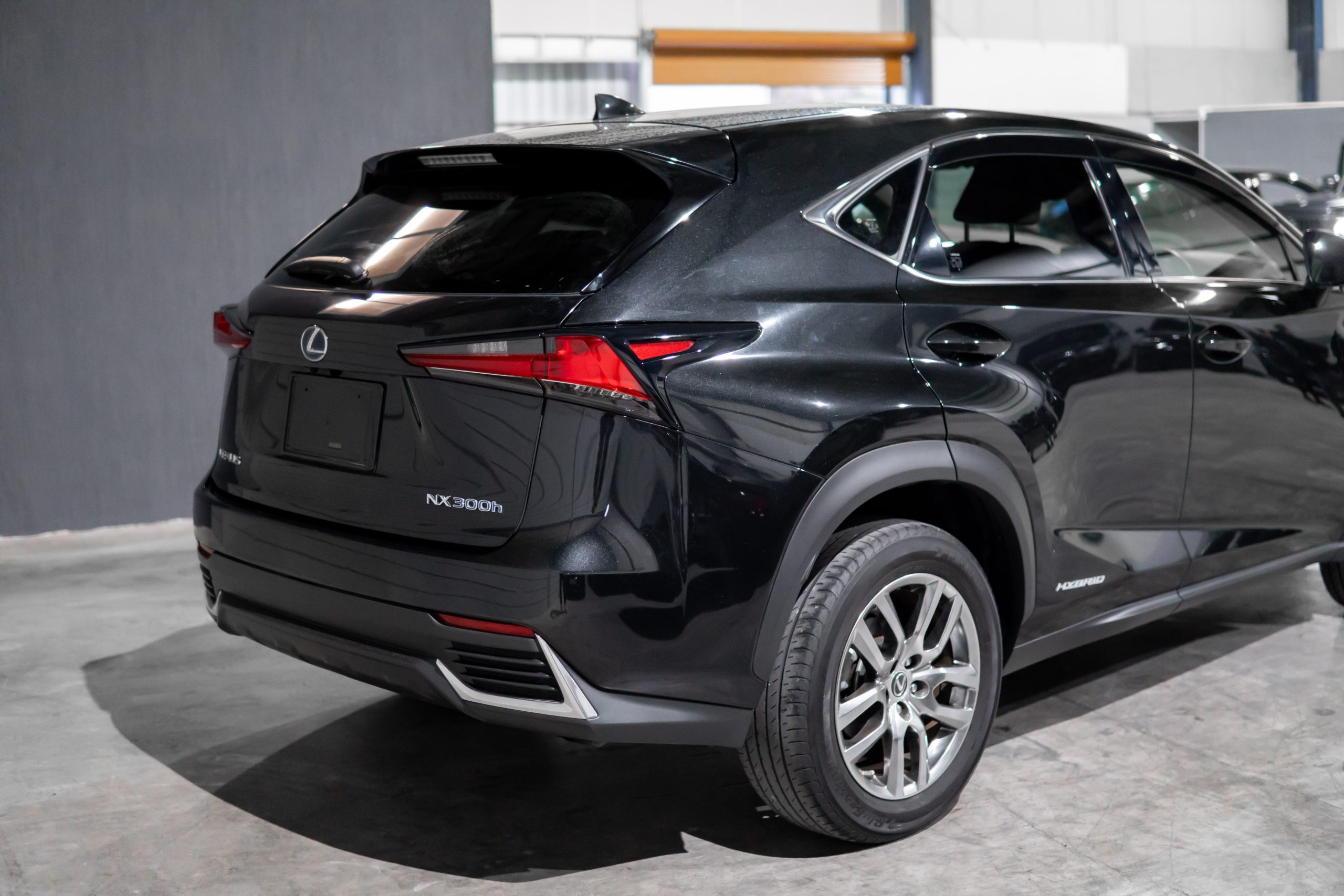 Lexus NX300 Long