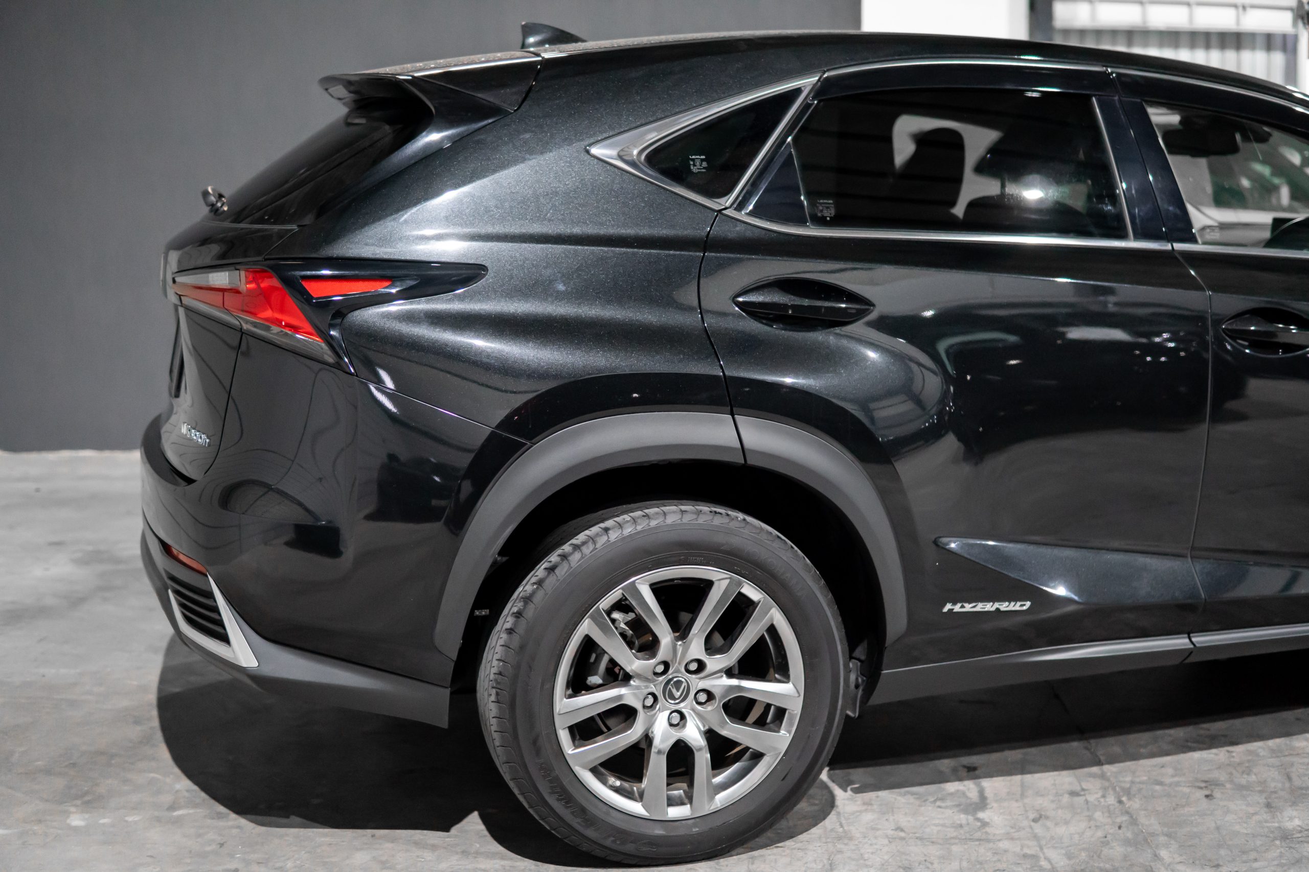 Lexus NX300 Long